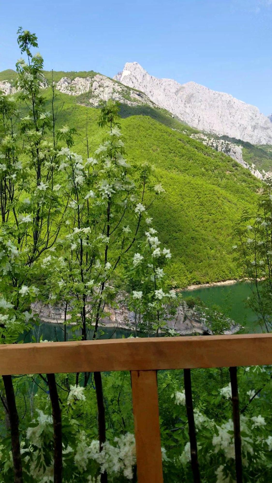 Twin Villas Komani Lake Exterior photo
